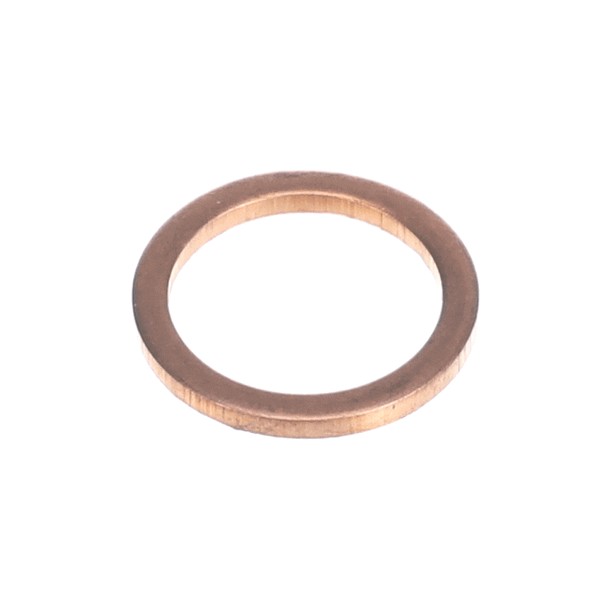 (image for) Ugolini USA A180004-00 VALVE GASKET BRASS ESP/CS A180004-00